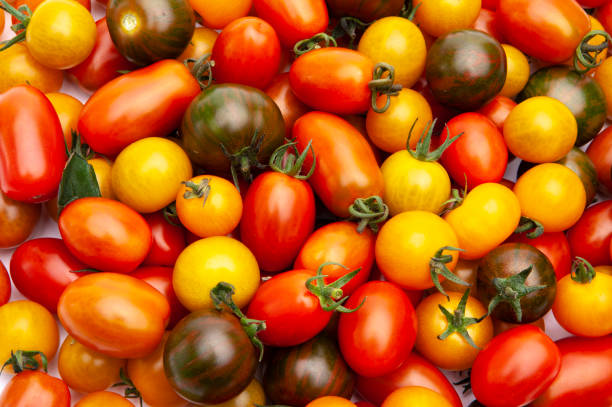 istock Colorful cocktail tomatoes 1363452658