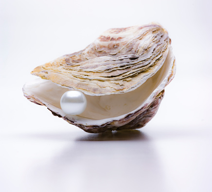 Pearl in an oyster isolated on a white background