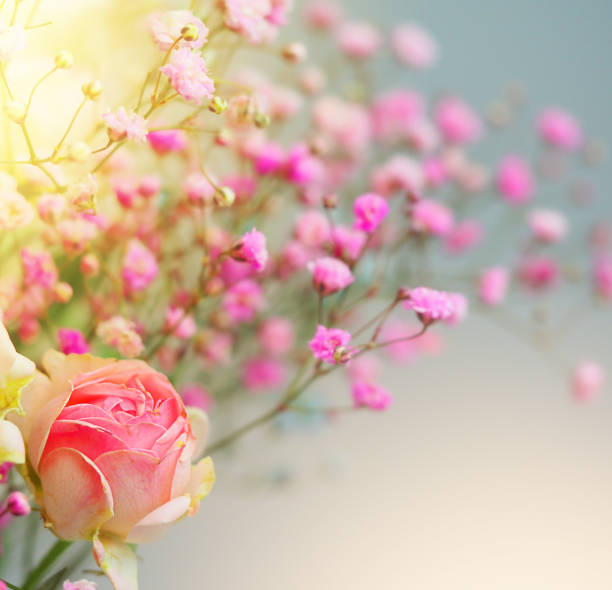 istock White roses and chrysanthemums on a white background. Bride's bouquet. background. Soft pastel colors. Background for postcards, invitations, and greetings. 1363453425