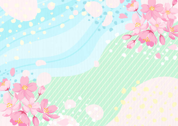 Cherry blossoms background, vector illustration Cherry blossoms background, vector illustration april stock illustrations