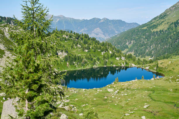 istock Alpine Lake in Lagorai 1363463940