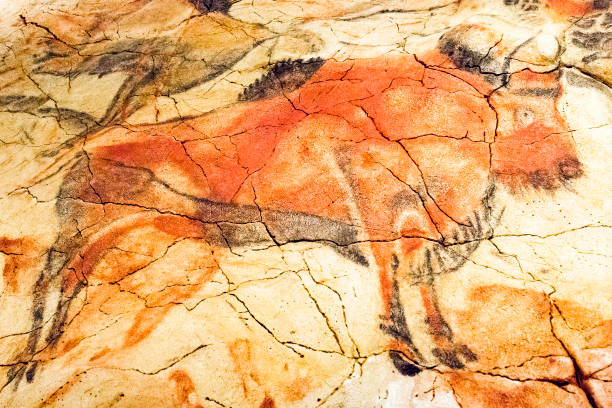 dibujos en el techo policromado de la cueva de altamira en santillana del mar, cantabria, españa - cueva de altamira fotografías e imágenes de stock