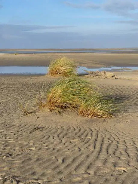 This white dune has formed on the beach of the North Sea island of Borkum. Beach grass now grows on it.