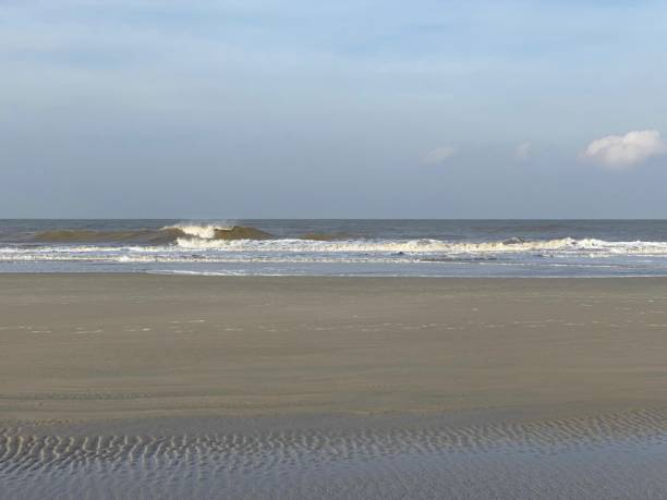 istock Brechende Welle am Strand 1363472165