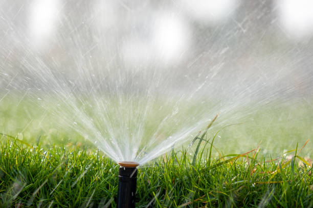 istock Plastic sprinkler irrigating grass lawn with water in summer garden. Watering green vegetation duging dry season for maintaining it fresh. 1363473270