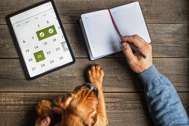 Online calendar and planning of cases for the year, month, week stock photo