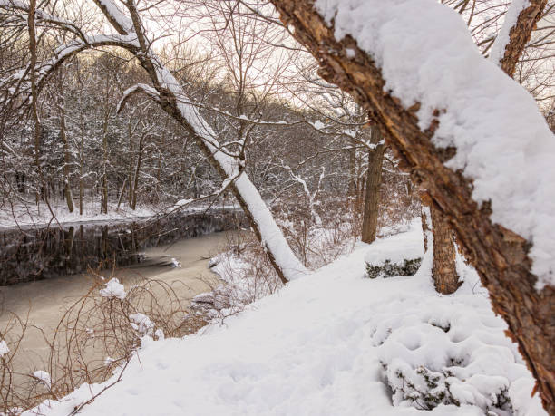 Rural Village Area of ​​Chicago ,United States where it snows all day in the winter.