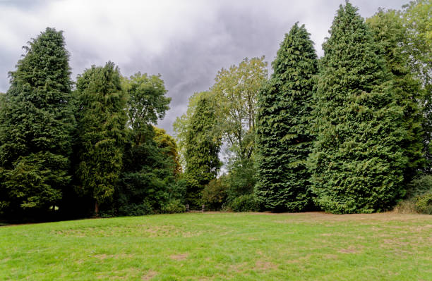 Whipsnade Tree Cathedral, Chilterns, Bedfordshire, England, United Kingdom