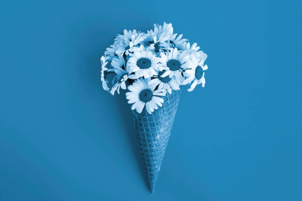 istock Blue ice cream cone with chamomile on the blue background. Top view. Copy space. 1363486390