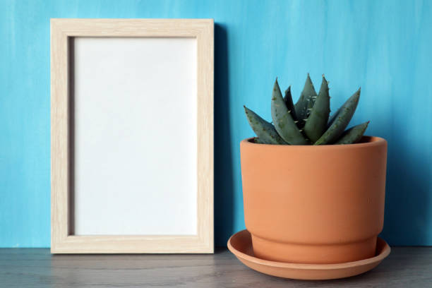 istock Mock up white frame with clay flower pot with succulent on blue background. 1363491393