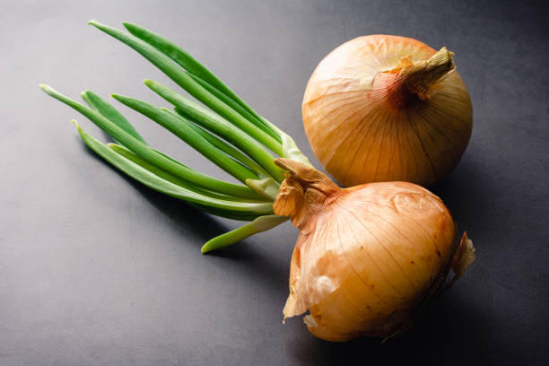 istock Sprouted and Unsprouted Onions on a Dark Background 1363492442