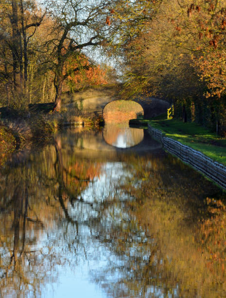 el otoño deja la rama de shropshire union canal llangollen en wrenbury cheshire. - cheshire non urban scene scenics rural scene fotografías e imágenes de stock