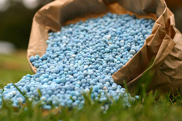 Bagged Fertilizer Blue fertilizer in brown paper bag fertilizer stock pictures, royalty-free photos & images