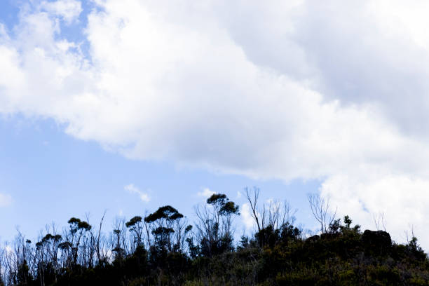 Stormy clouds over the mountains, background with copy space, full frame horizontal composition