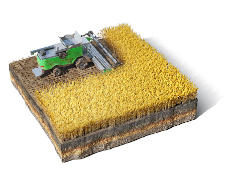 Wheat field and working harvester are located on a piece of ground, isolated on white background, 3d illustration