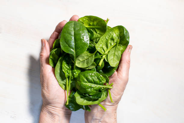 istock fresh spinach leaves in woman's hands on white wooden background 1363504299