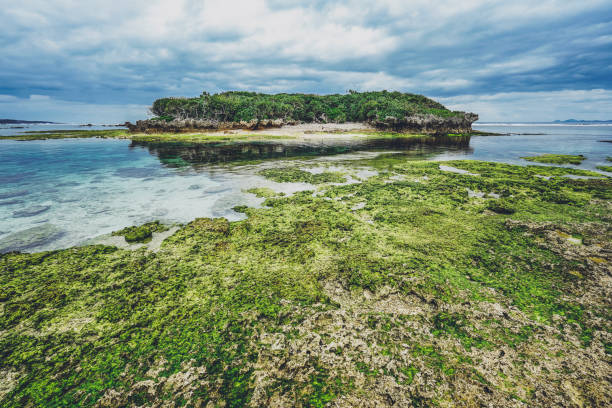 istock Okinawa coast and waves in Japan 1363516883
