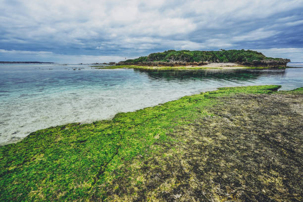 istock Okinawa coast and waves in Japan 1363516899