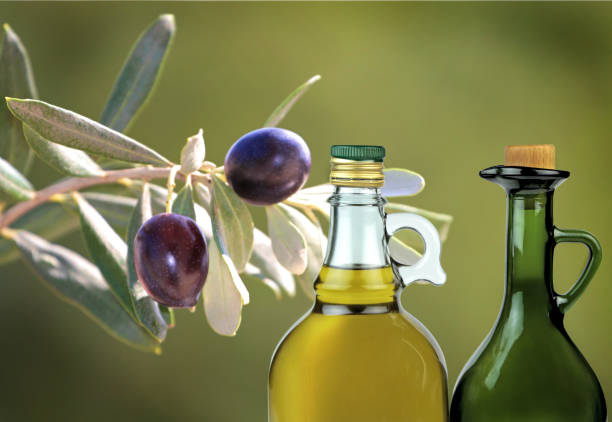 azeite extra virgem em garrafas e azeitonas em um galho. - olive tree oil industry cooking oil - fotografias e filmes do acervo