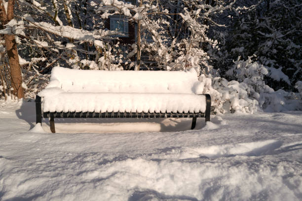Snow covered bench - Winter wonderland Vancouver, BC