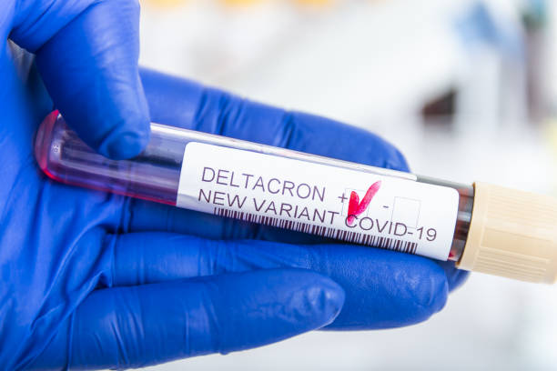 Researcher with blood sample of New Variant of the Covid-19 DELTACRON and generic data of covid-19 Coronavirus Mutations. Doctor in analysis lab holding sample of new strain of covid DELTACRON. stock photo