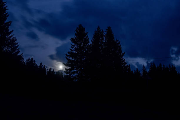 istock Silhouette of a night forest with the shining full moon. 1363522440