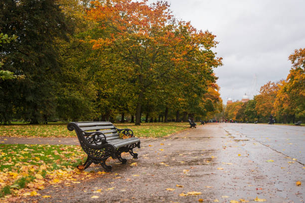 bancs vides dans les jardins de kensington - kensington gardens photos et images de collection