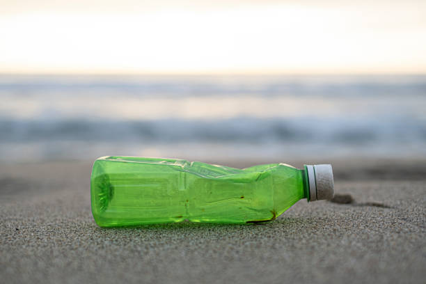 istock Used Plastic bottle waste discarded on sea coast ecosystem,environmental pollution contamination 1363526875