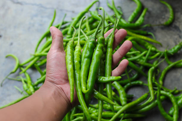 istock a bunch of fresh green chili peppers harvested from fields 1363529911
