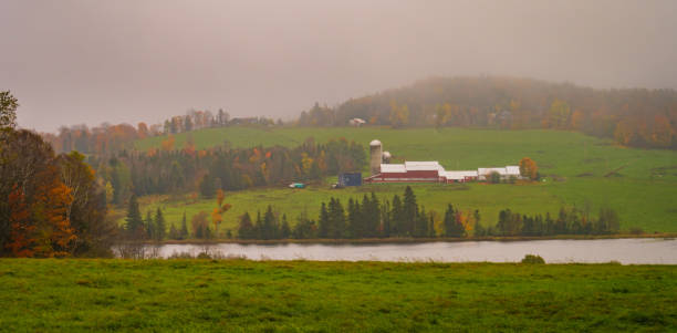 istock farm on a rainy day in autumn 1363531288