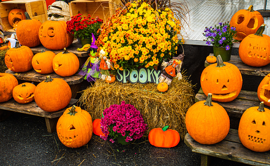 pumpkin festival in a town to celebrate Halloween