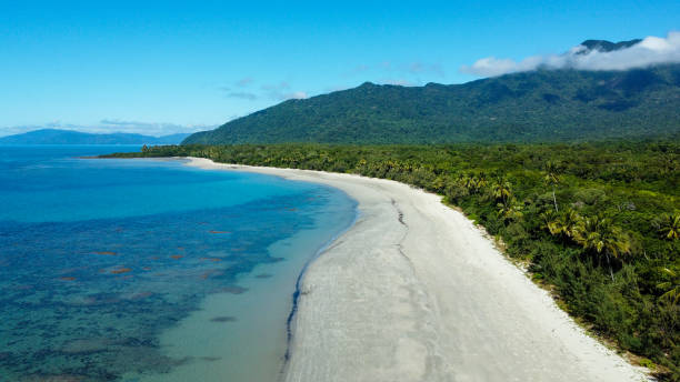 istock The rainforest meets the reef 1363533474