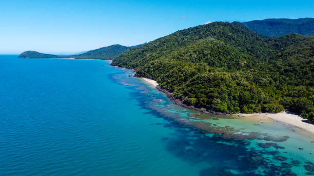 istock Rainforested mountains sweep down to a long sandy beach by the reef 1363533488