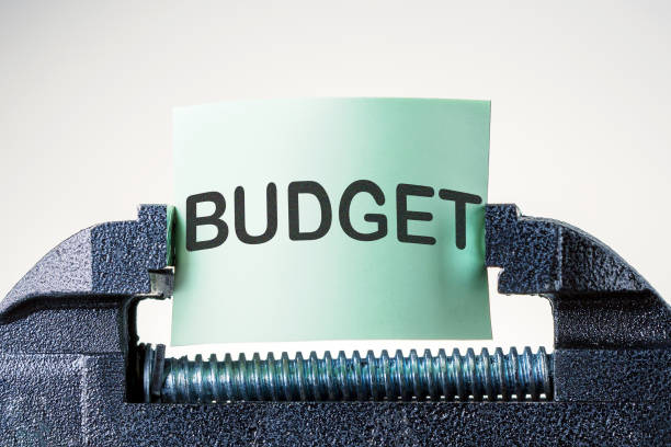 Blank with the words BUDGET in the vice. Budget concept.