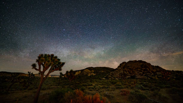 istock Nights under the Milky Way in Joshua Tree 1363544353