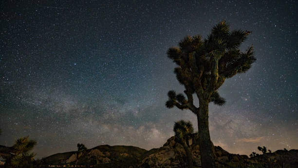 istock Nights under the Milky Way in Joshua Tree 1363544355