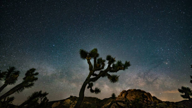 istock Nights under the Milky Way in Joshua Tree 1363544466
