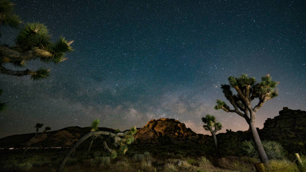 nuits sous la voie lactée à joshua tree - mojave yucca photos et images de collection