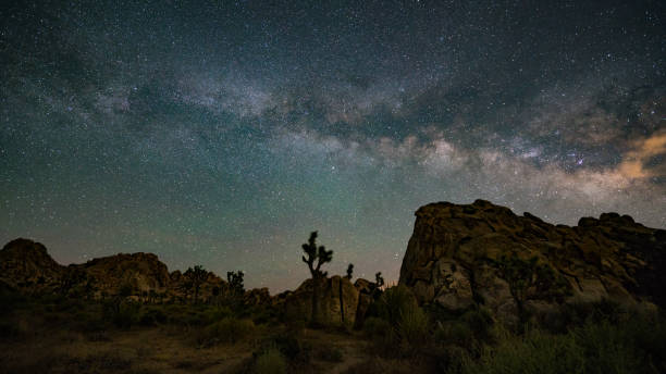 istock Nights under the Milky Way in Joshua Tree 1363544547