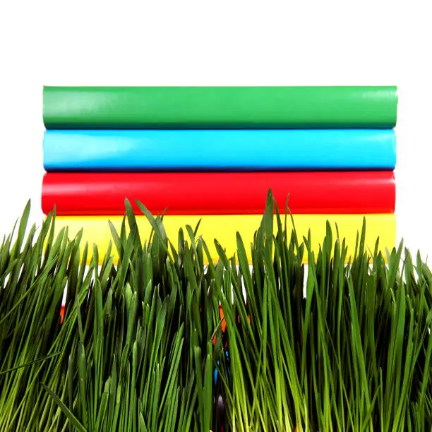 Pile of the Books in the Grass on the White Background Closeup