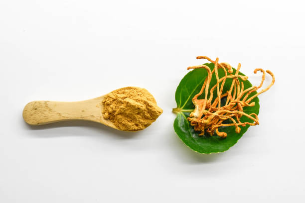 istock Yellow powder (Cordyceps militaris) in wooden spoon on white background. 1363554434