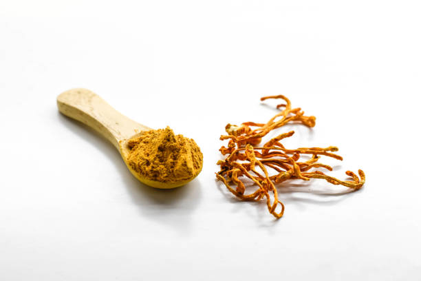 istock Yellow powder (Cordyceps militaris) in wooden spoon on white background. 1363554435