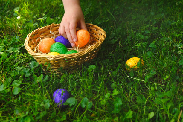 イースターエッグを集める。イースターエッグハント。子供は春の庭のバスケットにイースターエッグを集めます。カラフルなイースターエッグ。宗教的な休日の伝統。 - easter egg hunt ストックフォトと画像