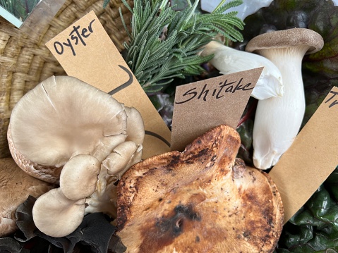 Shiitake Mushrooms with Maitake and Woodear Mushrooms