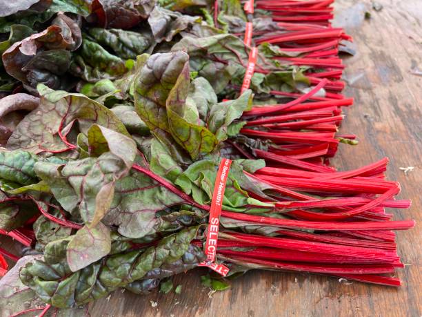 acelga suíça (acelga vermelha rubi ) - ruby red chard fotos - fotografias e filmes do acervo