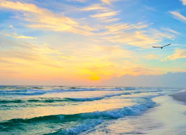 istock Sunset over the sea 1363556126