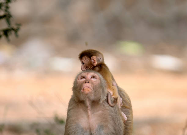 istock Mother and child 1363556374