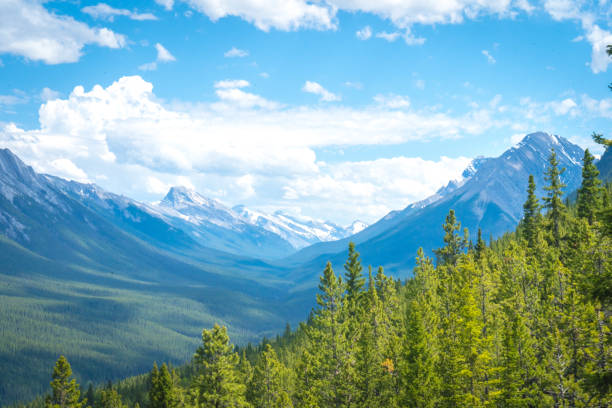 istock Mountain Peaks and The Blue Sky 1363558108