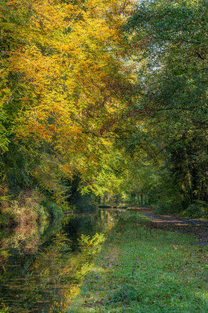 istock Monmouthshire & Brecon Canal 1363560233