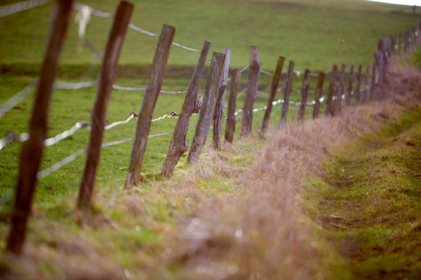 istock Hiking trail along fields and pastures, barbed wire fence separating a pasture 1363562795